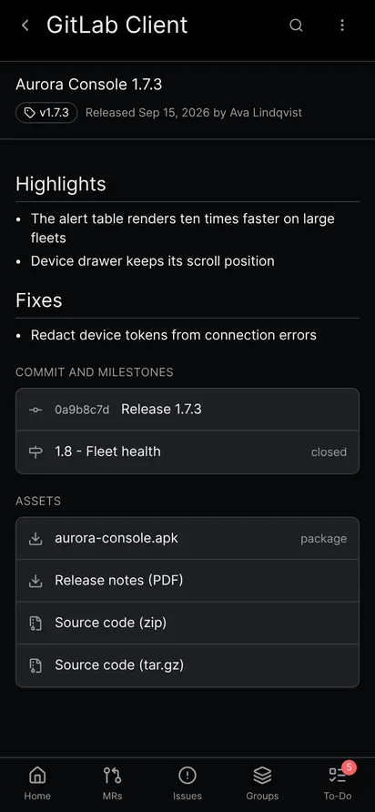 A release screen with its notes, commit, milestone and a list of assets with source code archives
