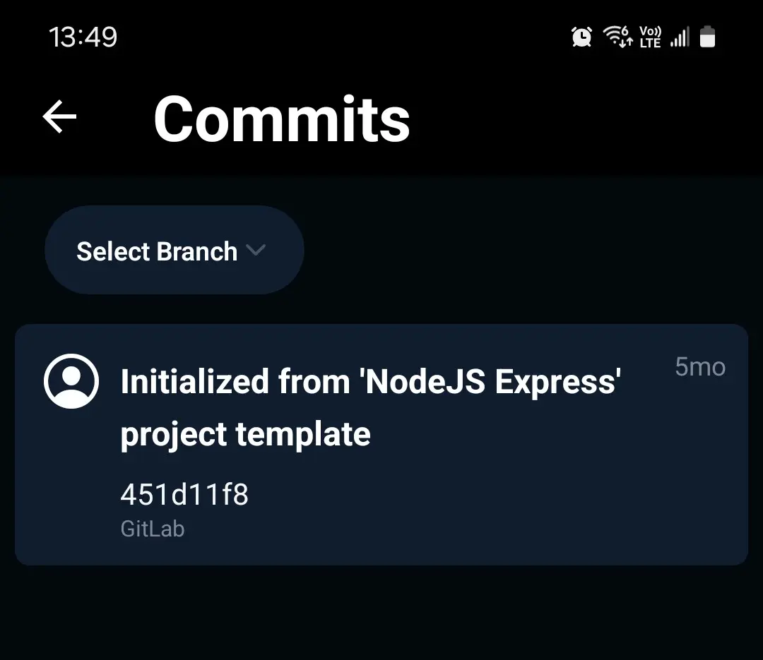 View Commit History and Branch Information